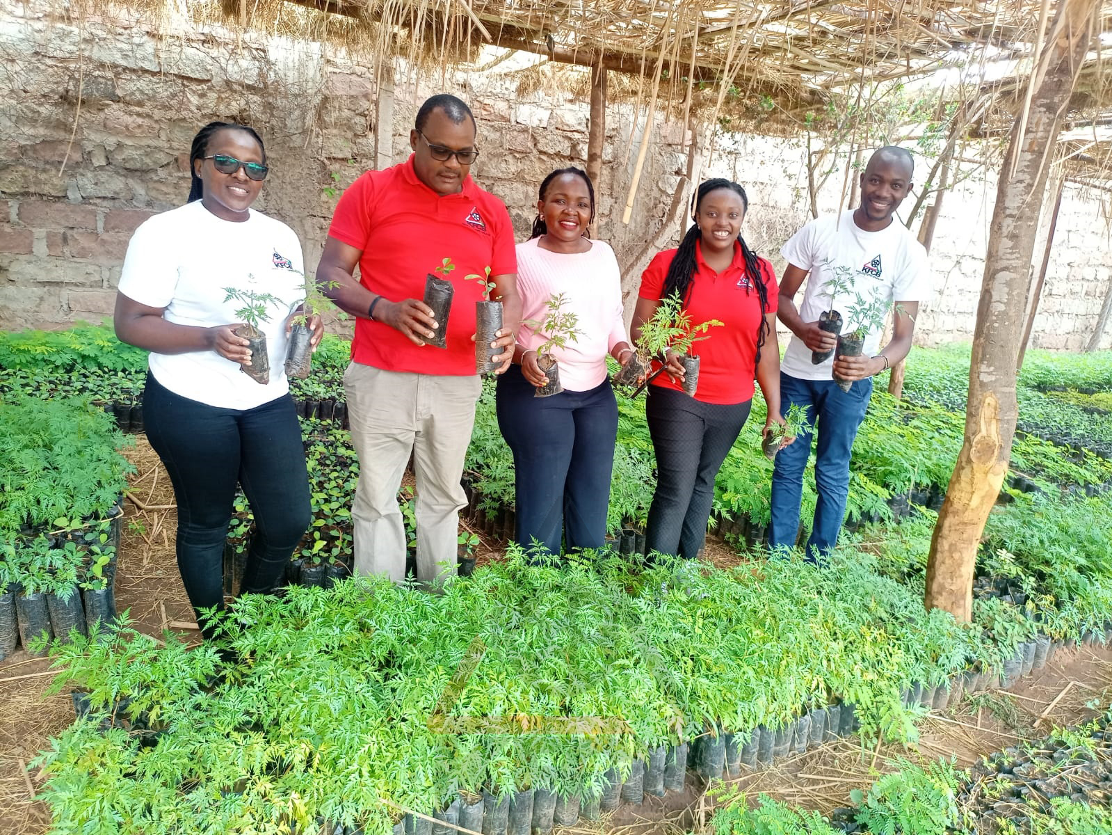 tree palnting exercise