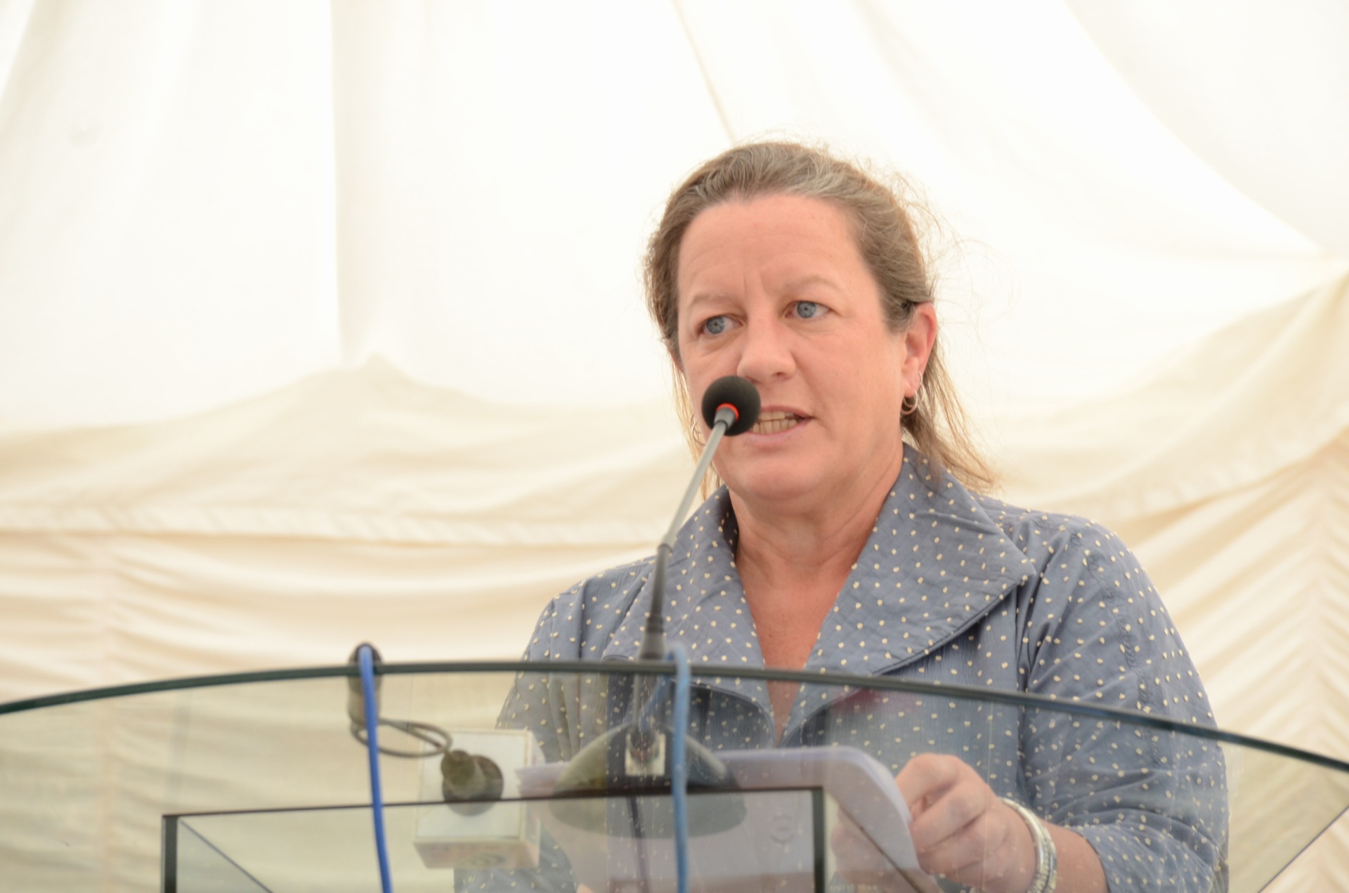 Deputy high commisioner