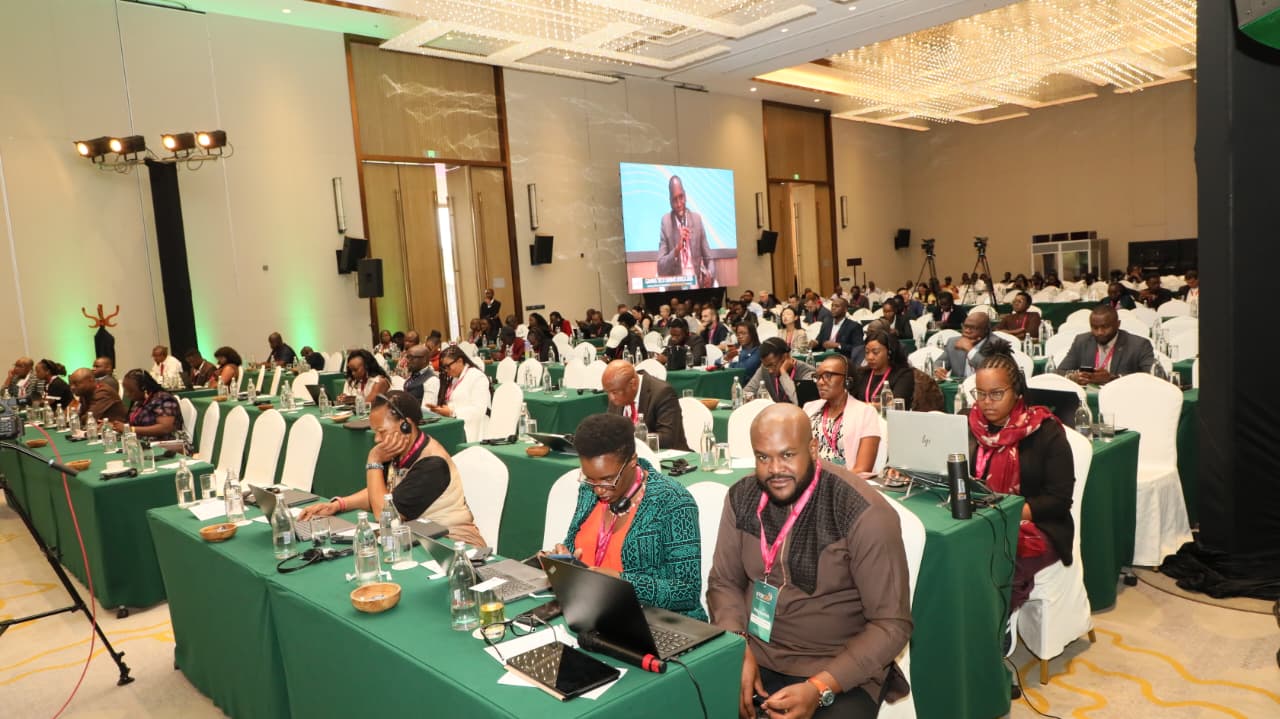 participants