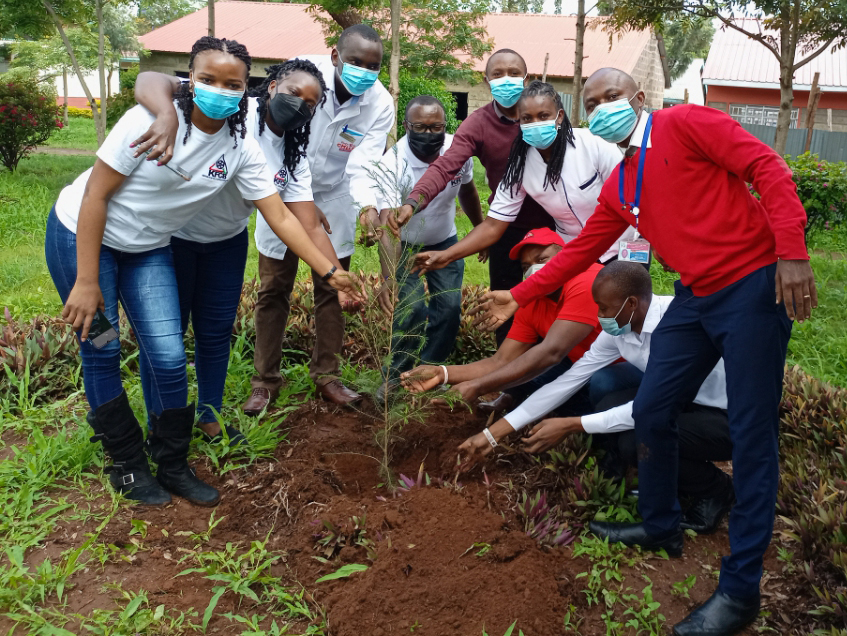 Tree planting