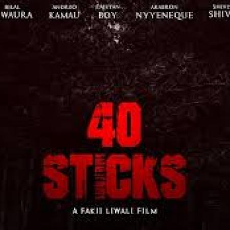 40 Sticks