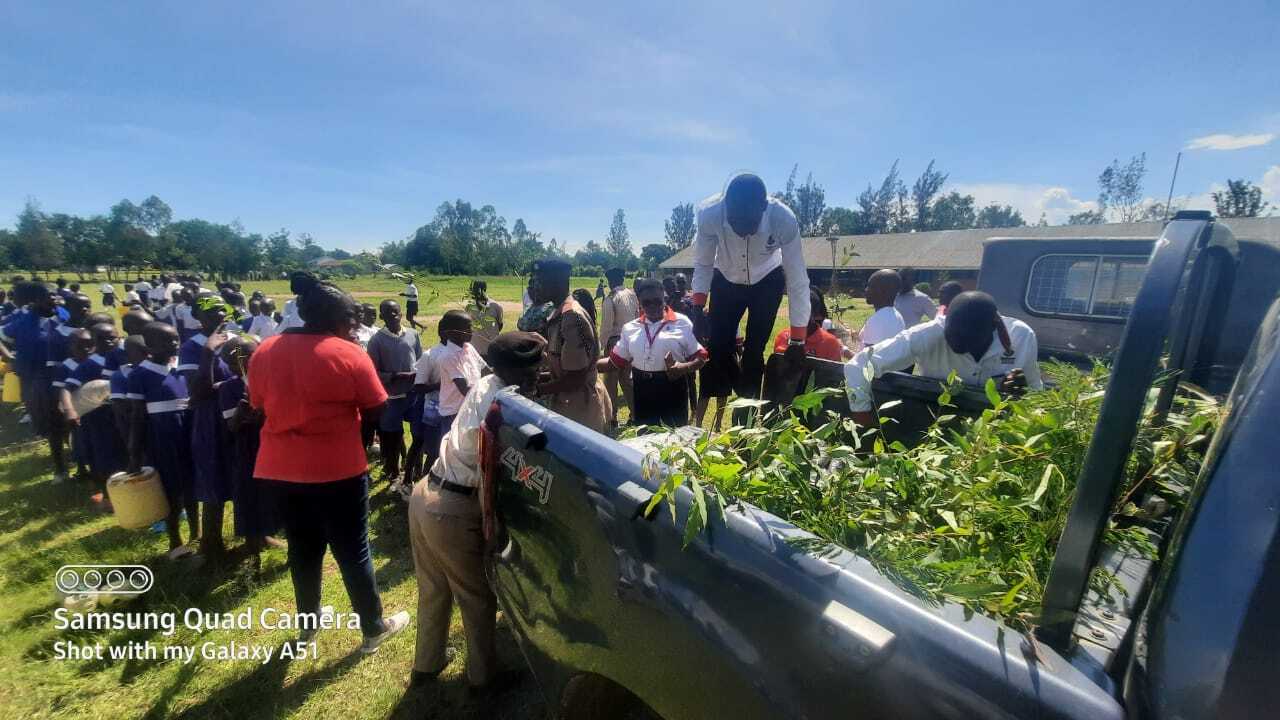 Board Supports National Tree Planting Initiative in Nyanza Region