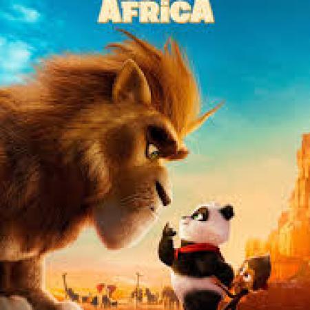 Panda Bear in Africa 